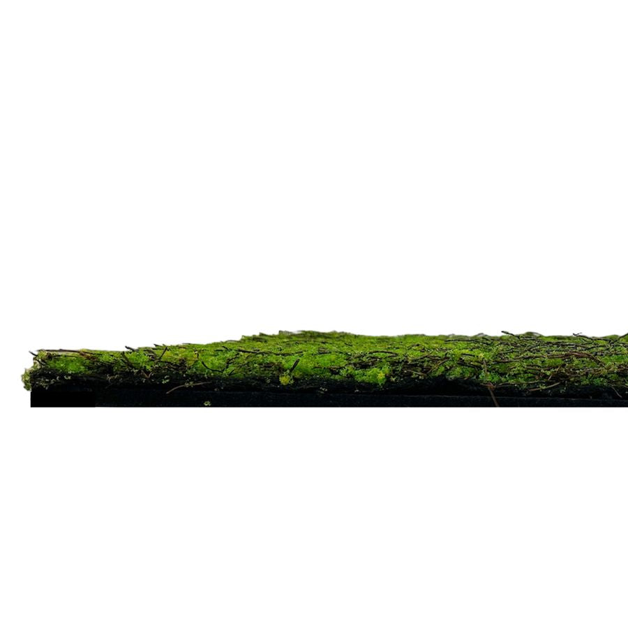 Wandpaneel Modular Wall 11107 Forest Green Ancient Tree (520x520mm)