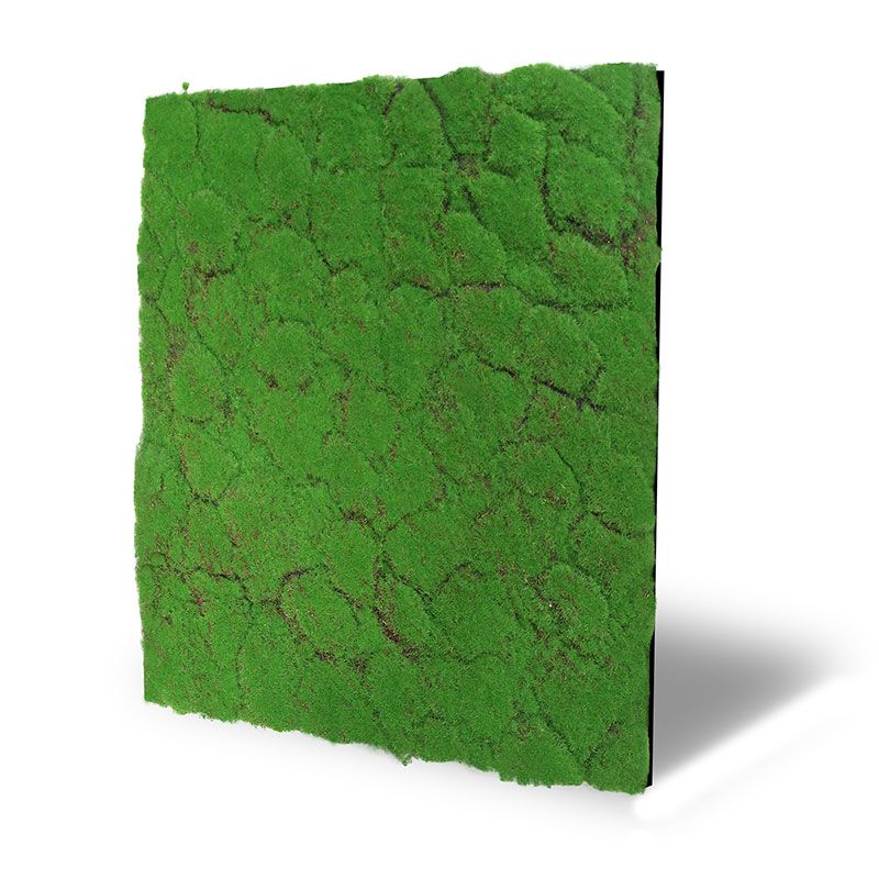 Wandpaneel Modular Wall 11108 Forrest Green Design Moos (520x520mm)